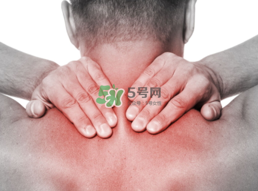 碧緹福護(hù)頸儀多少錢？碧緹福護(hù)頸儀價格