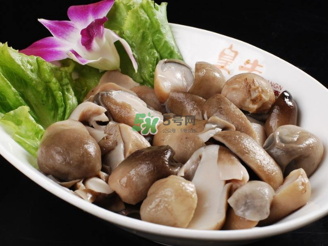 草菇孕婦能吃嗎？草菇要煮多久可以吃？