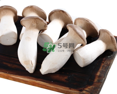 杏鮑菇有苦味還能吃嗎？杏鮑菇有酒味是壞了嗎