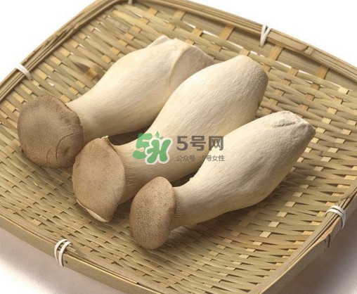 杏鮑菇有什么營養(yǎng)價值？杏鮑菇產(chǎn)地在哪里