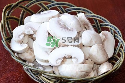 口蘑是發(fā)物嗎？口蘑是白蘑菇嗎