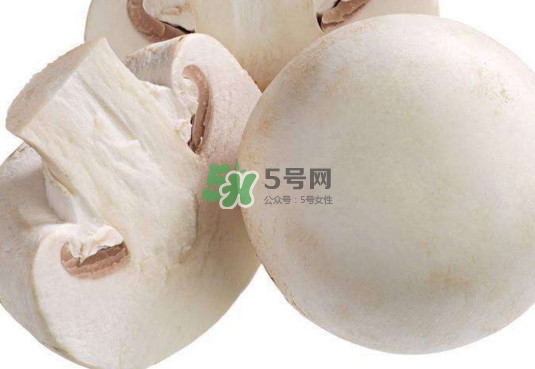 新鮮白蘑菇怎么做好吃？白蘑菇有什么好處