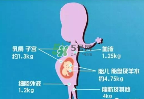 孕期體重增長標(biāo)準(zhǔn) 孕期體重增長過快怎么辦？
