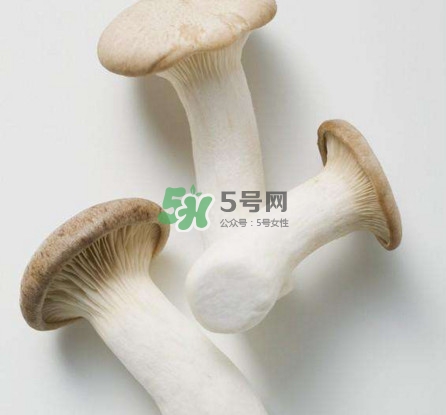 杏鮑菇用水焯嗎？杏鮑菇怎么做好吃