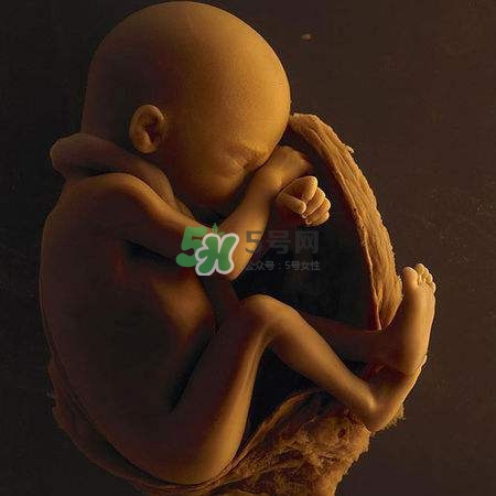 臍帶繞頸是什么意思？臍帶繞頸兩周怎么糾正？