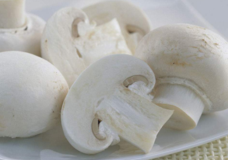 白蘑菇是什么蘑菇？白蘑菇有毒嗎