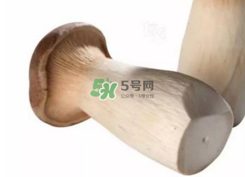 杏鮑菇有苦味還能吃嗎？杏鮑菇有酒味是壞了嗎