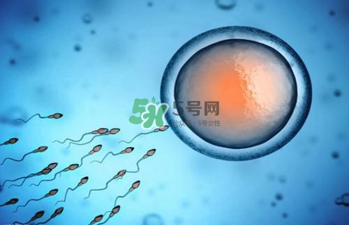 精子在女性體內(nèi)可以存活多久？男性的精子會(huì)枯竭嗎？