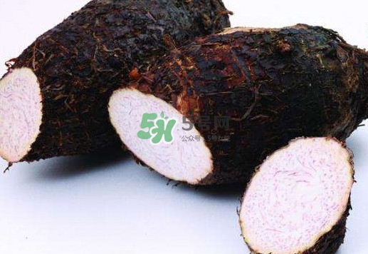 香芋是發(fā)物嗎？香芋怎么吃