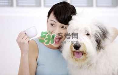 孕婦能養(yǎng)狗嗎？孕婦養(yǎng)狗注意事項