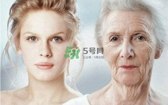 抗氧化是抗衰老嗎？抗氧化是不是就等于抗衰老？
