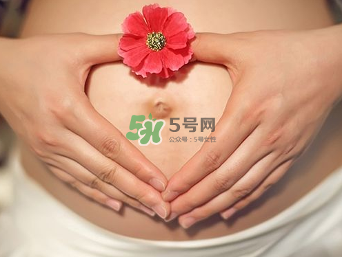 秋天孕婦可以吃絲瓜嗎？秋天孕婦吃絲瓜好嗎？