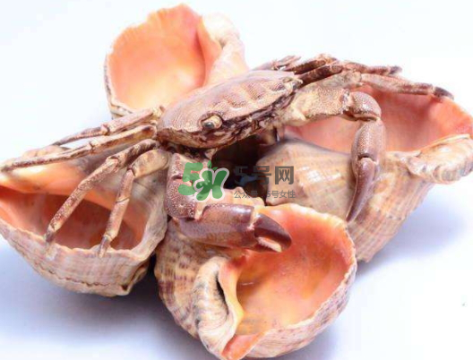 螃蟹殼里的東西是什么？螃蟹殼里什么不能吃？