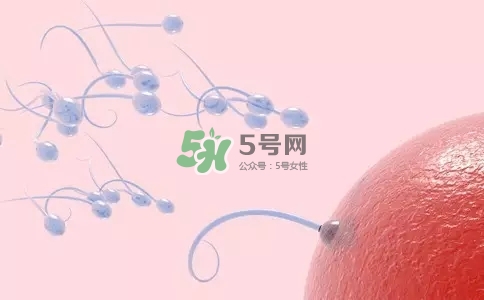 精子在女性體內(nèi)可以存活多久？男性的精子會(huì)枯竭嗎？