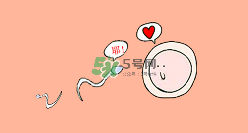 精子在女性體內(nèi)可以存活多久？男性的精子會(huì)枯竭嗎？