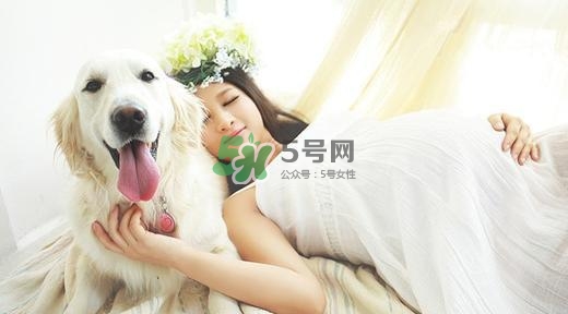 孕婦不能養(yǎng)寵物嗎？為什么孕婦不能養(yǎng)寵物？
