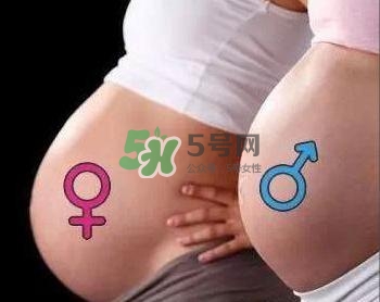 為什么孕婦的肚子有尖有圓？孕婦肚子尖圓對(duì)照?qǐng)D