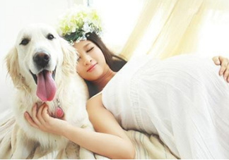 孕婦不能養(yǎng)寵物嗎？為什么孕婦不能養(yǎng)寵物？