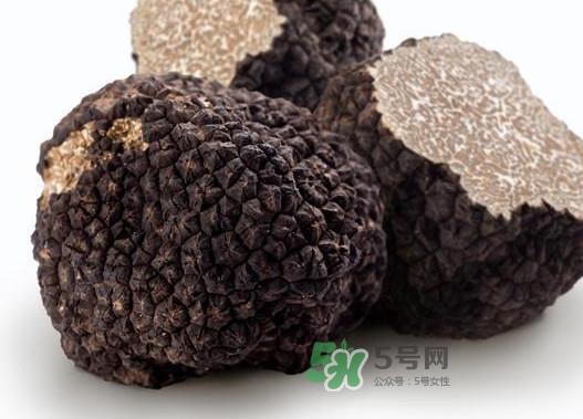 松露是什么樣子的？松露是怎么形成的