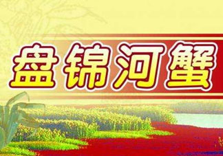 盤錦河蟹批發(fā)市場在哪？盤錦河蟹哪里最正宗？