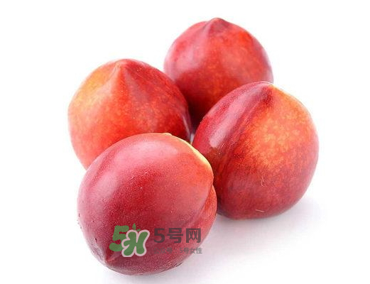 九月份還有桃子嗎？9月份成熟的桃子有幾種？