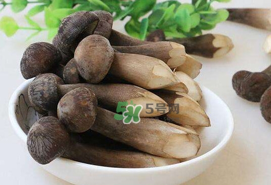雞樅菌和松茸哪個更好？雞樅菌有什么營養(yǎng)