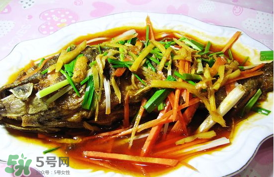 黑魚能愈合傷口嗎？黑魚為什么對傷口愈合？