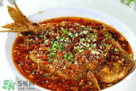黑魚能愈合傷口嗎？黑魚為什么對傷口愈合？