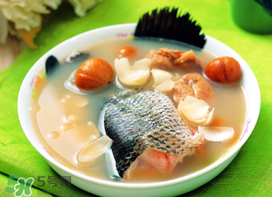 黑魚能愈合傷口嗎？黑魚為什么對傷口愈合？