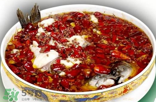 鯉魚(yú)可以做水煮魚(yú)嗎？水煮鯉魚(yú)的做法