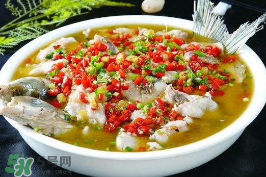 鯉魚(yú)可以做水煮魚(yú)嗎？水煮鯉魚(yú)的做法