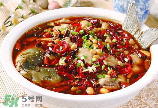 鯉魚(yú)可以做水煮魚(yú)嗎？水煮鯉魚(yú)的做法