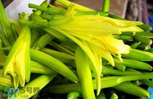 黃花菜開花了還能吃嗎？開花的黃花菜可以吃嗎
