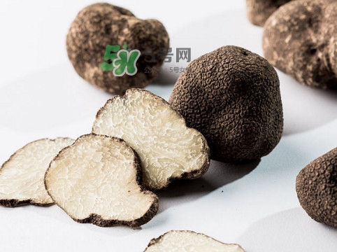 松露對(duì)女人有什么好處？松露對(duì)男人有什么好處