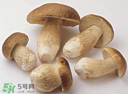 牛肝菌要泡發(fā)多久？牛肝菌怎么清洗
