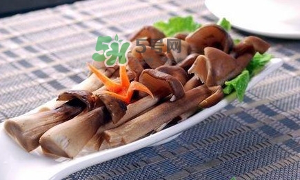 雞樅菌和松茸哪個更好？雞樅菌有什么營養(yǎng)