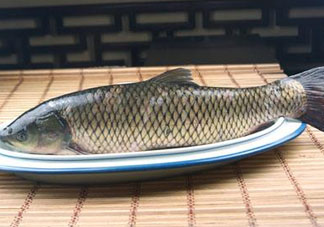 黑魚可以清蒸嗎？黑魚蒸多久？