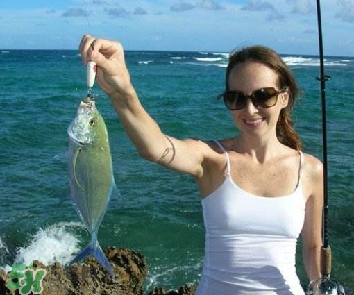 9月份釣什么魚？9月份釣草魚嗎？