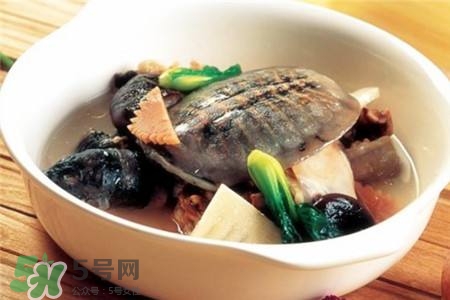產(chǎn)婦能吃甲魚嗎？產(chǎn)婦能吃甲魚湯嗎？