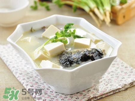 孕婦鯽魚湯可以放姜嗎？孕婦鯽魚湯能放料酒嗎？