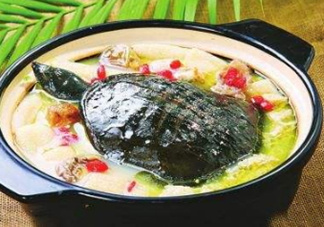 甲魚湯下奶嗎？下奶的食物有哪些？