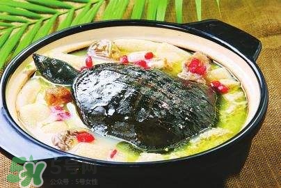 甲魚湯下奶嗎？下奶的食物有哪些？