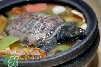 產(chǎn)婦能吃甲魚嗎？產(chǎn)婦能吃甲魚湯嗎？