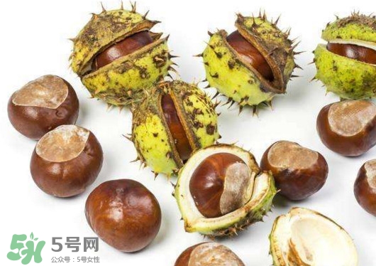 板栗殼怎么好剝？怎樣剝板栗殼最快