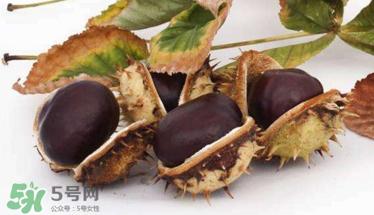 板栗殼里面的皮能吃嗎？板栗殼有什么作用