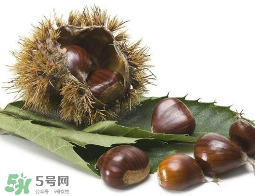板栗殼里面的皮能吃嗎？板栗殼有什么作用
