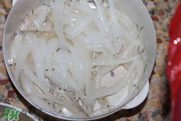 大銀魚多少錢一斤？大銀魚怎么洗？