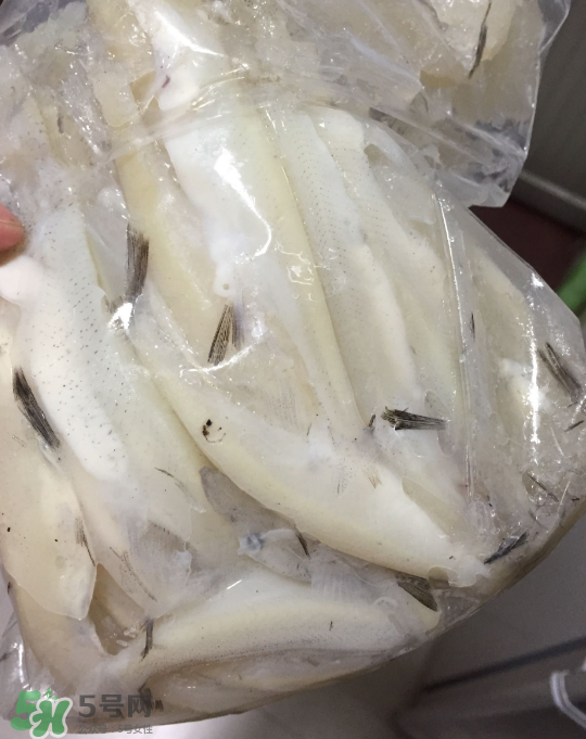 銀魚可以煲粥嗎？銀魚可以包餃子嗎？