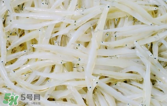 銀魚可以煲粥嗎？銀魚可以包餃子嗎？
