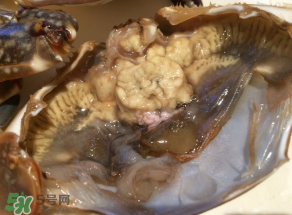 梭子蟹是野生的嗎？梭子蟹養(yǎng)的還是野生的？